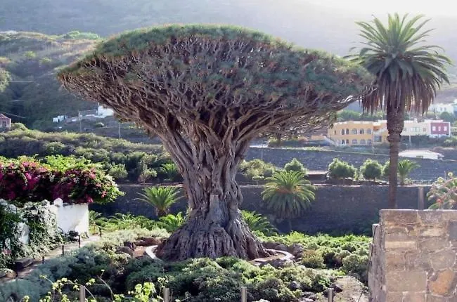 Alpstuga Casitas Del Bebedero - Yoga & Ecoturismo *